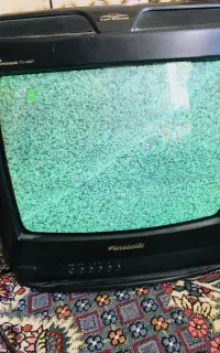 14پاناسونیک