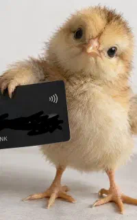 سیم کارت همراه اول