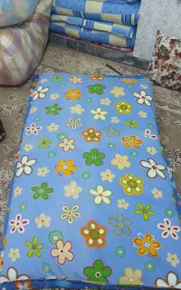 تشک پشمی