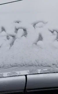 دربستی توافقی