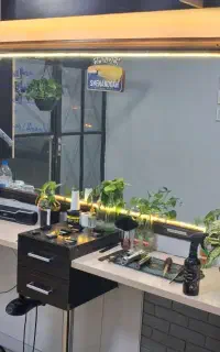 دکور آرایشگاه