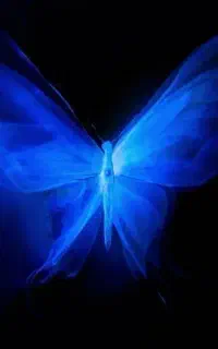 جدیدد پول رایگان