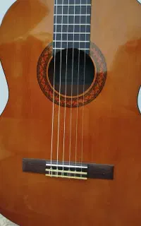 گیتار یاماها C40