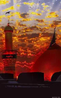 زیارت ۸ روزه کربلا و نجف بدون پیش پرداخت