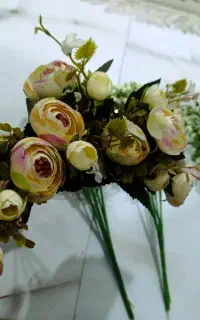 گل  زیبا