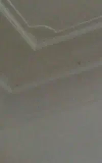 گچکاری