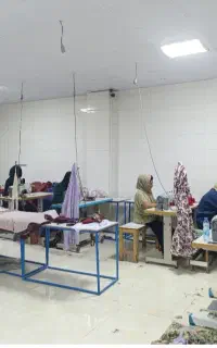 الگو های استاندارد