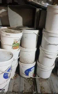 تعدادی سطل پنیرودبه سالم