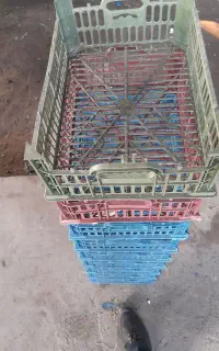 سبد میوه ۶ کیلو