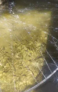 فروش ماهی قزل الا 400گرم