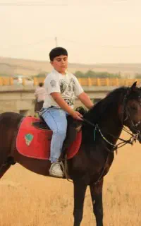 اموزش سوارکاری