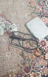 پلی ۱