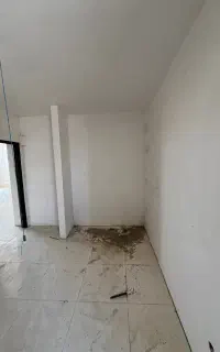 مسکن