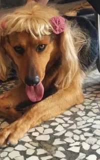 ژرمن ورکلاین ماده