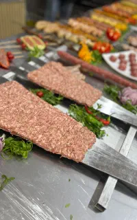 اموزش دوره تخصصی کباب های ملل