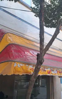 سایبان