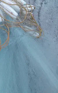 ۱۸میل نونوهستش یک کیلو