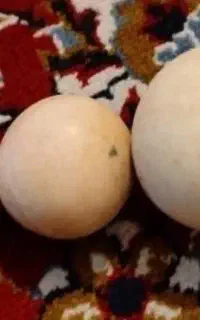 سنگ الماس آسیاب