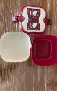 ظرف غذا