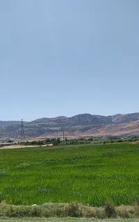 استخدام نیرو