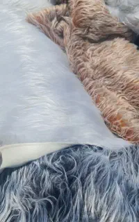 خزوچرم و پادری خز دم دری پرتی خز