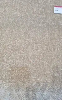 موکت پالاز نو(اضافه از خرید)