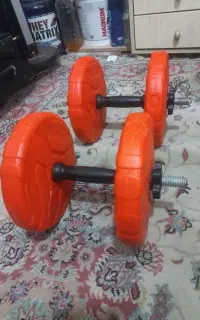 یک جفد دمبل ۵ کیلویی
