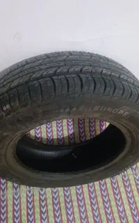 لاستیک شماره ۱۴ساینا