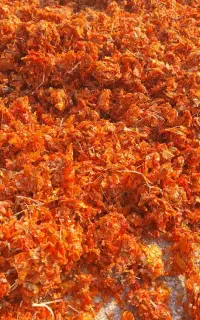 تفاله گوجه خشک و پوست انار خشک