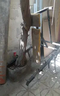 دستگاه پرس سینه