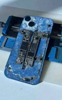 خواهان همکاری