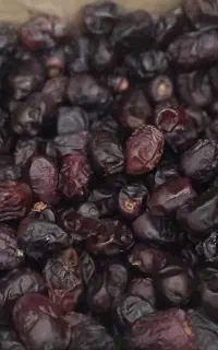 خرما مضافتی فله