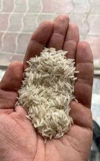 تامین و تولید برنج
