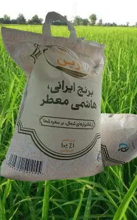 برنج هاشمی میر علی کاظمی