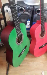 گیتار۲عددباهم
