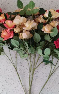 8عدد شاخه گل