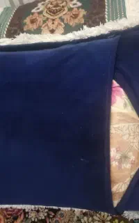 بالشت پشتی