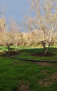 انجام امورات کشاورزی و نظافت منازل توسط بانوان