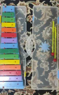 دو عدد بلز نو