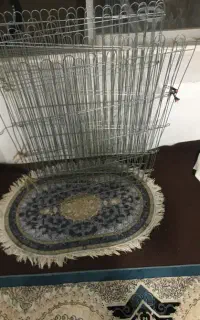 پارک سک