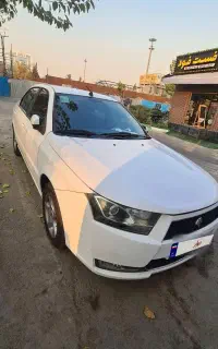 دنا تیپ ۲ بی رنگ تک برگ