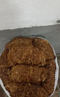 برگ زرد قرمز