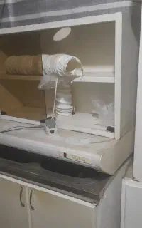 هود