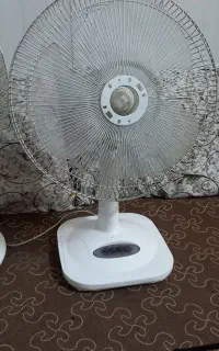 پنکه
