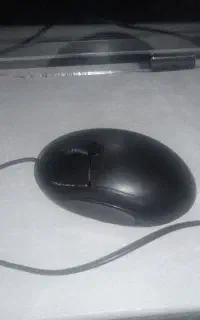 موس