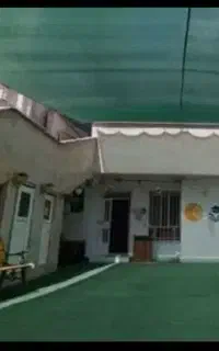 نصب تور سبز