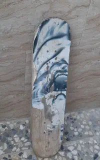 اسکیت برد