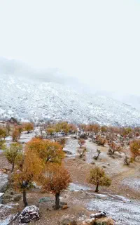 جزوه مهر
