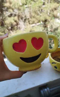 تعدادی گلدان ایموجی استفاده شده