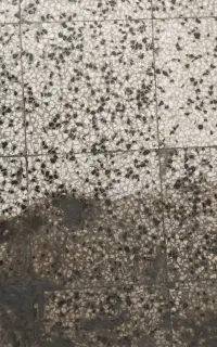 کف سابی کفسابی